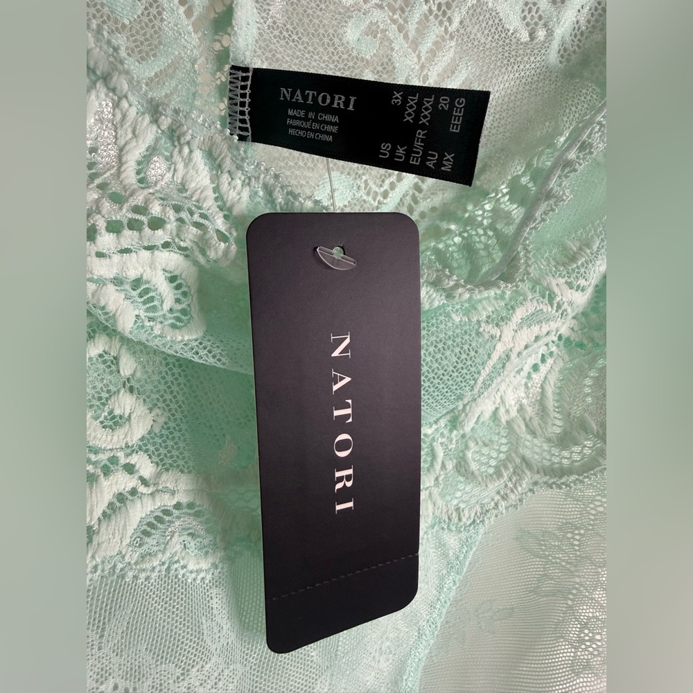NWT, Natori Feathers Mint Lace Women’s Panty, 3X Lace - Picture 6 of 14